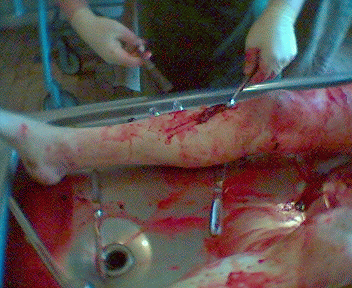 Name:  18.gif
Views: 3868
Size:  75.5 KB
