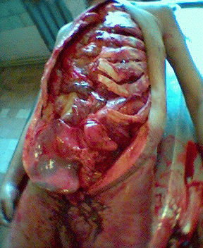 Name:  19.gif
Views: 4230
Size:  75.5 KB