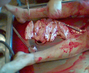 Name:  20.gif
Views: 4333
Size:  77.3 KB