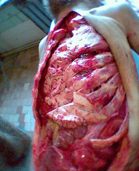 Name:  21.gif
Views: 3938
Size:  75.6 KB