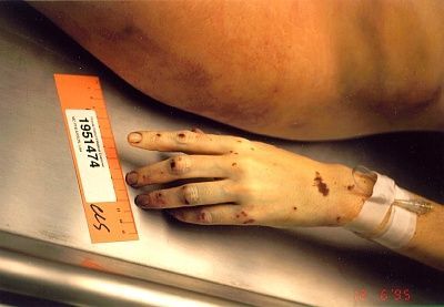 lisa19d.jpg
