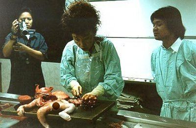 5bed.jpg