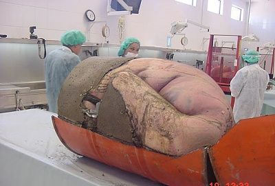 charonboat_dot_com_encased_cement2.jpg