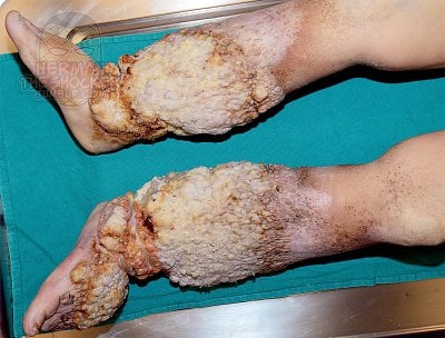 _a1fig1-dr.jpg