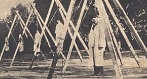 article.6275.jpg