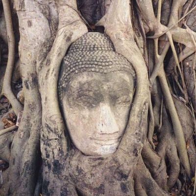 ayutthaya_buddha.jpg