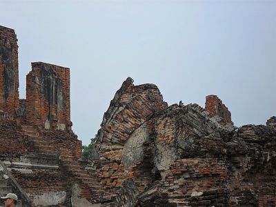 fallen-wat-phra-si-sanphet-ayutthaya-thailand.jpg