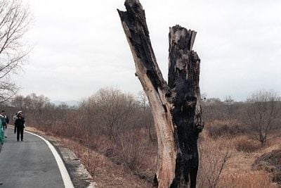 dmz_incident_tree.jpg
