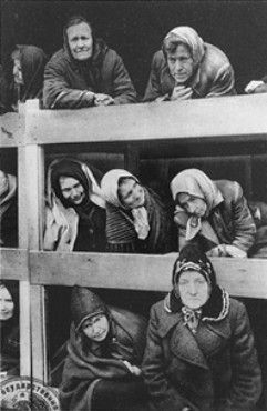 Former women prisoners on the wooden bunks that served as beds, in Auschwitz concentration camp.jpg