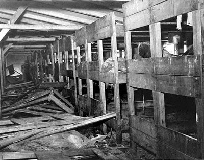 three-tiered-bunk-beds-barracks-bergen-belsen-after-liberation.jpg