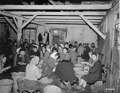 women-survivors-bergen-belsen-concentration-camp-peeling-potatoes.-april-28-1945-.jpg