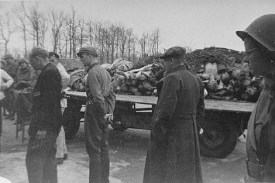 german-civilians-who-have-been-forced-tour-newly-liberated-buchenwald-concentration-camp.jpg