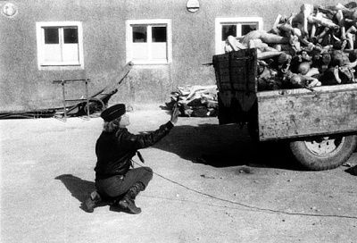 margaret-bourke-white-prepares-take-photo-corpses-april-16-1945.jpg