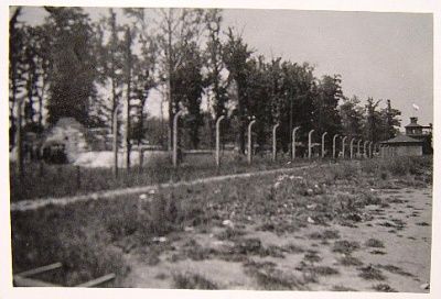 photo-zoo-taken-after-buchenwald-liberated.jpg