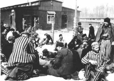 Prisoners in the quarantine camp after liberation.jpg
