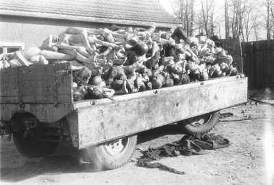 view-wagon-piled-high-corpses-outside-crematoria-buchenwald-concentration-c.jpg