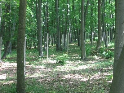 buchenwald-russian-graveyard.jpg