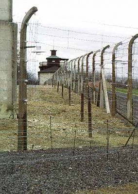 camp-fence-gate-house-background.jpg