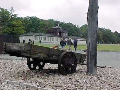handcart-replica-tree-trunk-used-hanging-punishment.jpg