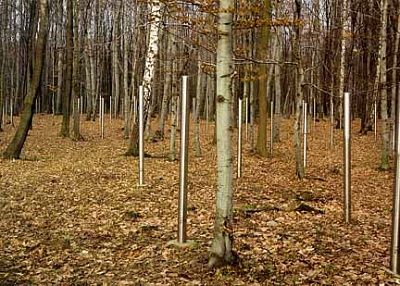 mass-graves-7-113-germans-who-died-special-camp-no.-2.jpg