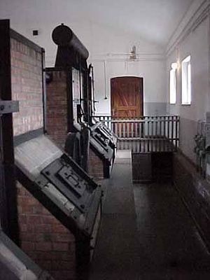 rear-view-cremation-ovens.jpg