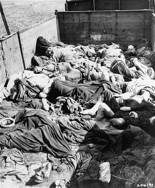 Prisoners had traveled 3 weeks in open boxcars through the war zone.jpg
