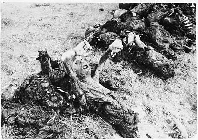 burned-corpses-lie-grounds-klooga-concentration-camp.jpg