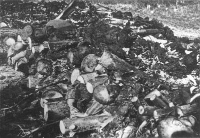 corpses-klooga-stacked-burning.jpg