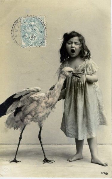 Vintage Animal Oddities, Staged Scenes and Fatal Fall Photos, 1850s-1980s - strange photos from past 016