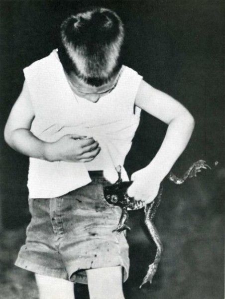Vintage Animal Oddities, Staged Scenes and Fatal Fall Photos, 1850s-1980s - strange photos from past 018