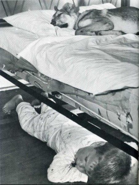 Vintage Animal Oddities, Staged Scenes and Fatal Fall Photos, 1850s-1980s - strange photos from past 019