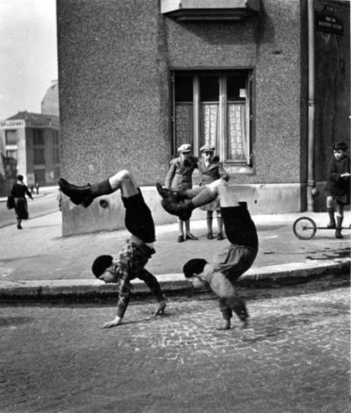 Vintage Animal Oddities, Staged Scenes and Fatal Fall Photos, 1850s-1980s - strange photos from past 028