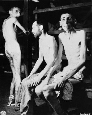 Name:  emaciated.jpg
Views: 19209
Size:  24.9 KB