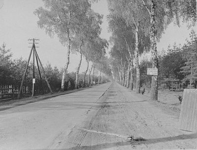 country-road-leading-bergen-belsen-concentration-camp.jpg