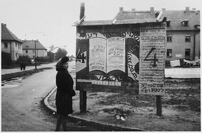 woman-reads-election-signs-posted-bulletin-board-bergen-belsen-displaced-.jpg