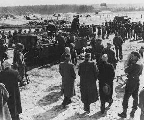 Bergen-Belsen Liberation, April 15, 1945, and Postwar Displaced Persons Camp - After liberation of the Bergen Belsen camp, British soldiers forced German mayors from nearby to
