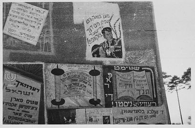 assorted-election-signs-posted-outside-wall-barracks-bergen-belsen-displa.jpg