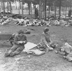 Bergen-Belsen Liberation, April 15, 1945, and Postwar Displaced Persons Camp - Soon after liberation, women camp survivors prepare food near piles of dead bodies