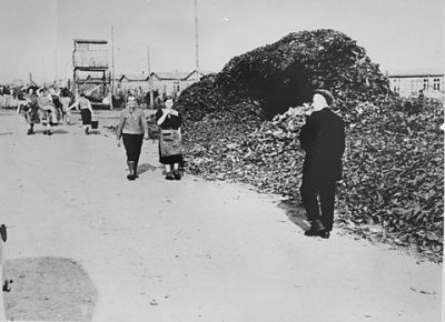 survivors-bergen-belsen-walk-along-main-street-camp-past-pile-victims-shoes.jpg