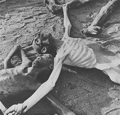 The bodies of former prisoners lie on the ground in the newly liberated Bergen-Belsen concentrat.jpg