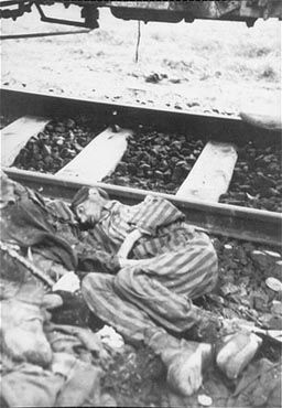 The corpse of a prisoner which fell out of one of the railcars of the Dachau death train when Am.jpg