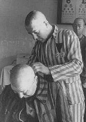 Shaving an inmate at the Sachsenhausen concentration camp. Germany, 1942.jpg