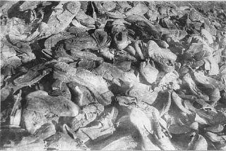 Janowska Concentration Camp in Lwów: 1941-1943 and 1944 Photos - Shoes of victims in the Janowska camp were found by Soviet forces after the liberation of Lvov