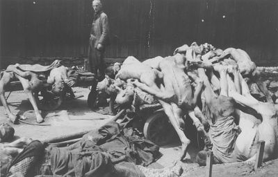 survivor-views-piles-corpses-have-been-stacked-carts-ground-prior-.jpg
