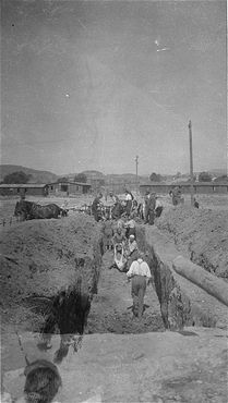 American soldiers look on as Austrian civilians bury the bodies of former inmates.jpg
