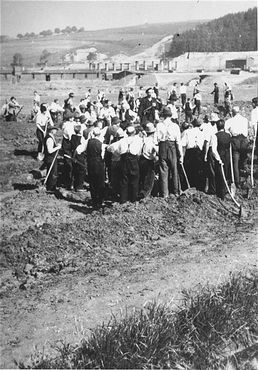 Mauthausen-Gusen Liberation and Mass Graves, Upper Austria, May 1945 - Austrian civilians dig mass graves for the victims of the Gusen concentration camp