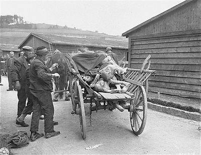 austrian-civilians-load-corpses-onto-cart-will-transport-bodies-mass-grave.jpg