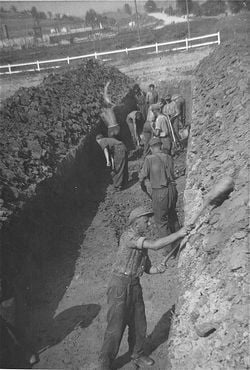 Austrian civilians prepare a mass grave for the bodies of former inmates at the Gusen concentrat.jpg