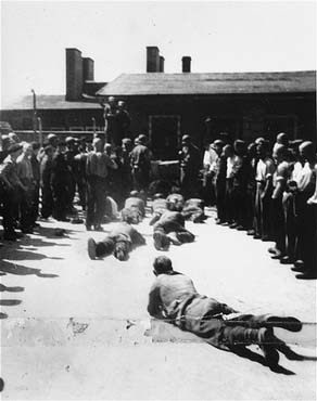 Survivors and American soldiers watch as former SS guards are forced to crawl along the ground.jpg