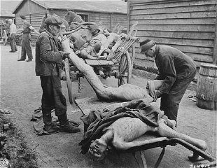 Mauthausen-Gusen Liberation and Mass Graves, Upper Austria, May 1945 - Victims of starvation are removed after U S troops liberated Gusen